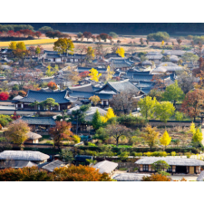 Timecrafted: The Soulful Journey of Gyeongbuk